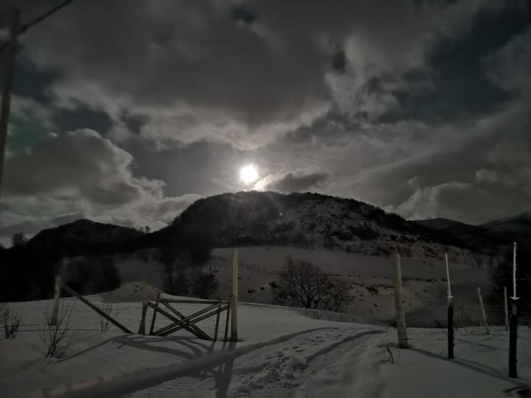 Storjord Farmstay Ranchhouse Kvaloya Buitenkant foto