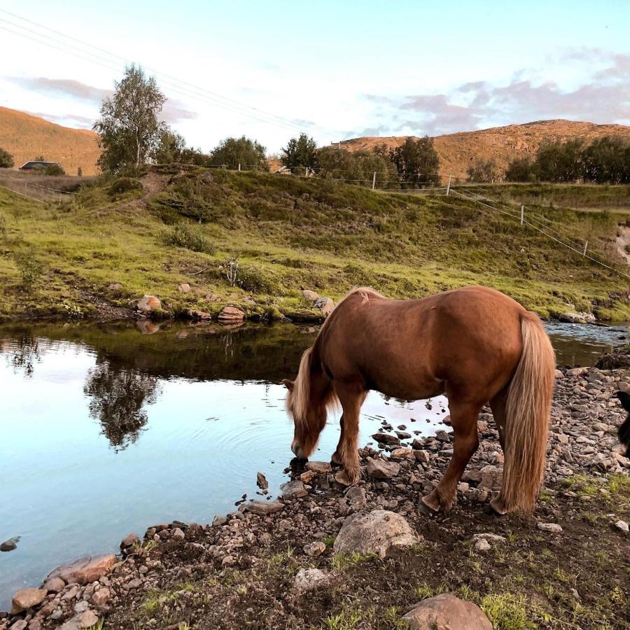 Storjord Farmstay Ranchhouse Kvaloya Buitenkant foto