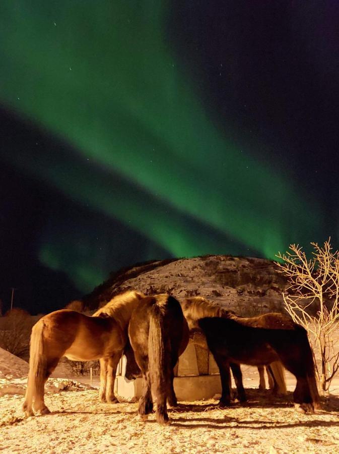 Storjord Farmstay Ranchhouse Kvaloya Buitenkant foto