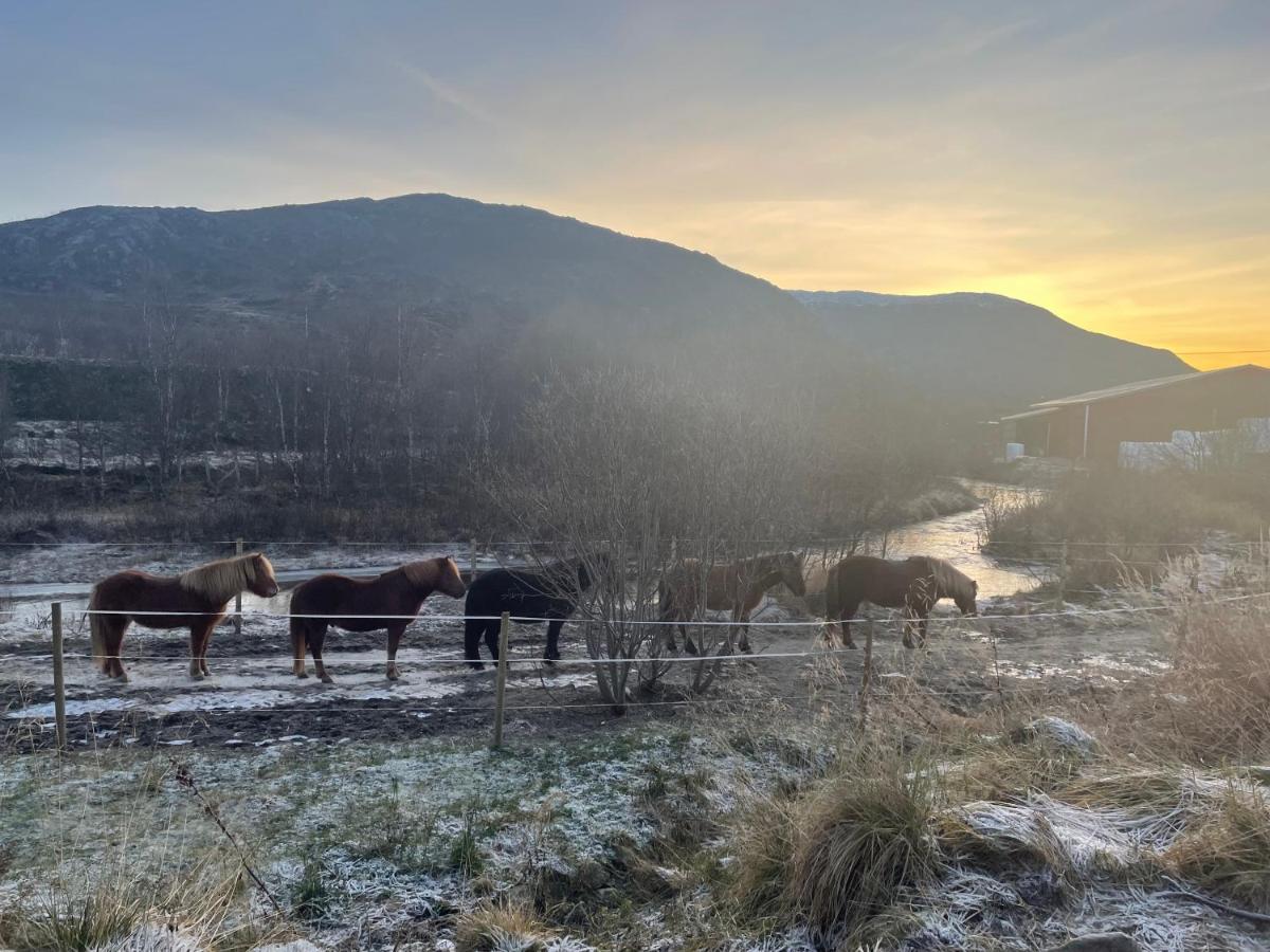 Storjord Farmstay Ranchhouse Kvaloya Buitenkant foto