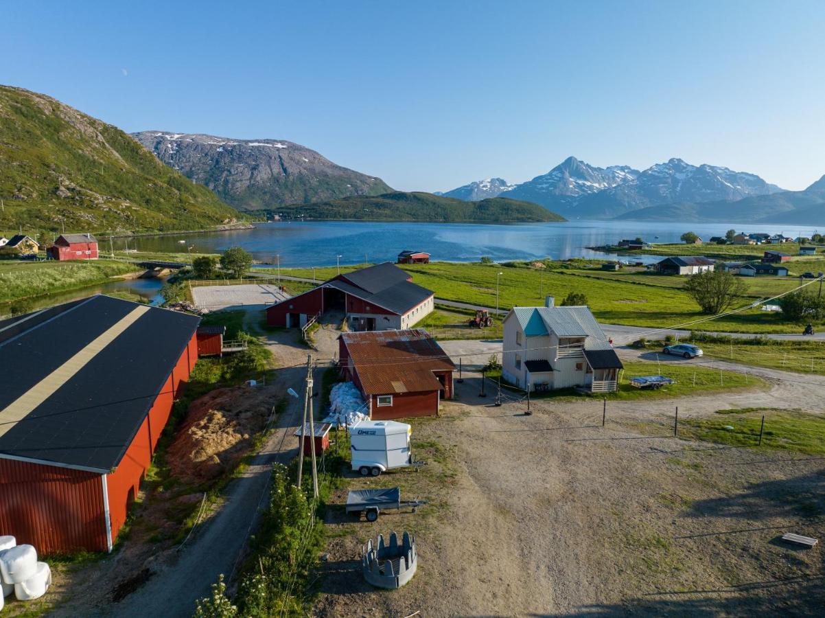 Storjord Farmstay Ranchhouse Kvaloya Buitenkant foto